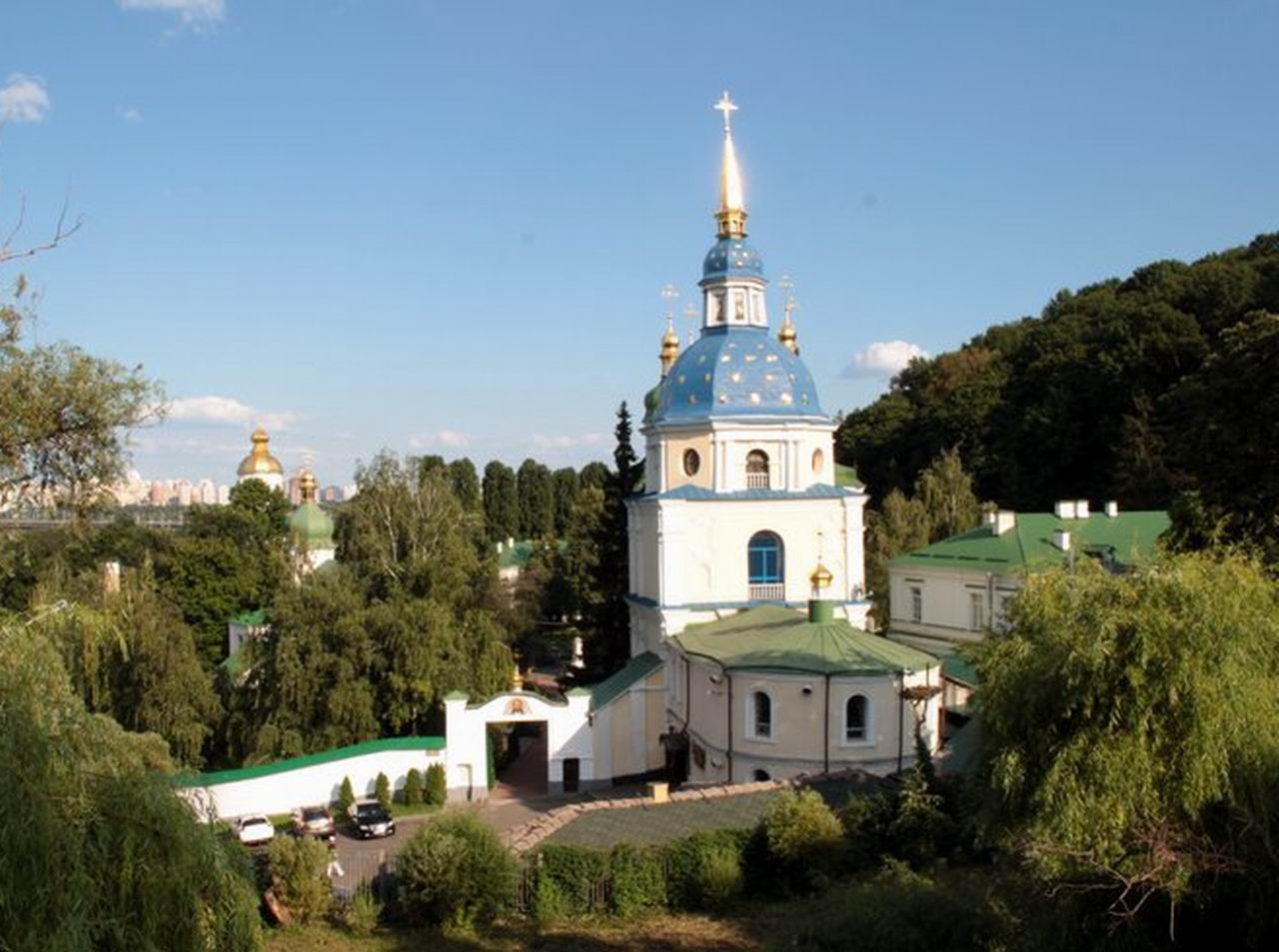 Видуб мон фото